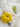 YOULI Penelope Creamy Cute Floral Pillowcase from YOULI