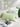 YOULI Clementine Adorable Fresh Green Pillowcase Sofa Cushion from YOULI