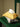 MOMO'S TALK Juniper Elegant Fabric Tissue Box from MOMO'S TALK