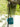 DIME GARDEN Elowen Cozy Contemporary Swing Baby Rocker from DIME GARDEN