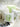 YOULI Clementine Adorable Fresh Green Pillowcase Sofa Cushion from YOULI