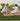 MOMO'S TALK Elowen Moisture-Proof Waterproof Camping Mat from MOMO'S TALK