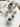 YASUKI Penelope Vintage Ceramic Chic Sauce Teapot from YASUKI