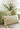 CHESTNUT COCOON Akira Luxurious Fresh Scented Pillowcase from CHESTNUT COCOON