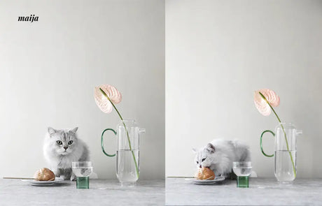 Moyu Glass Jug with Cup Set from maija