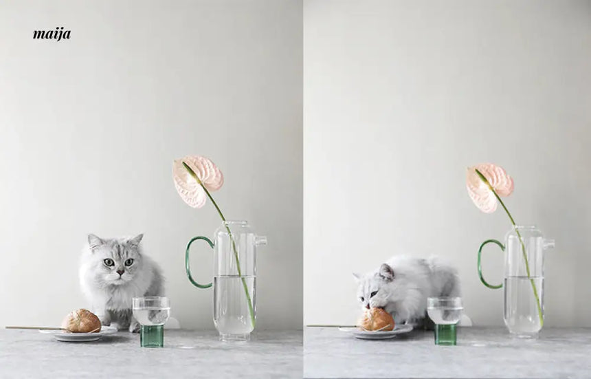Moyu Glass Jug with Cup Set from maija