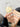 SUCO Haruki Sleek Design Leakproof Scale Cup from SUCO