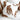 YOULI Jasper Elegant Animal Embroidery French Sofa from YOULI