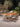 DIME GARDEN Emory Elegant Rattan Sofa Outdoor from DIME GARDEN