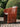 DIME GARDEN Santiago Waterproof Rattan Outdoor Table Set from DIME GARDEN