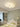 OU DEWEI Sakura Soft Glow Living Room Ceiling Light from OU DEWEI