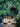 OU DEWEI Santiago Charming Solar Garden Lights from OU DEWEI
