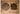 PAULOWNIA Harukaze Elegant Bamboo Tea Set from PAULOWNIA