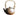 PAULOWNIA Haruki Artisan Crafted Japanese Tea Set from PAULOWNIA