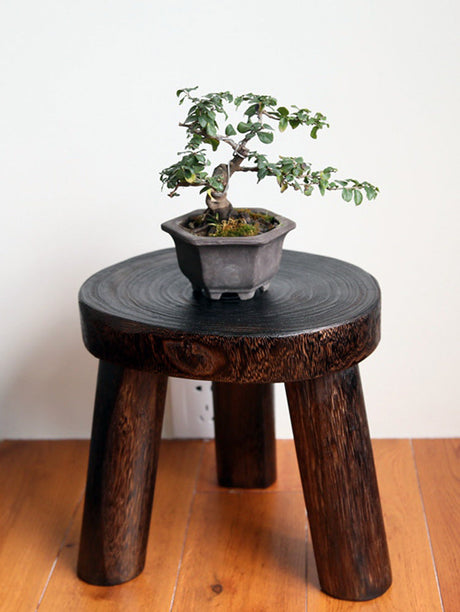 PAULOWNIA Haruki Artisan Natural Wood Footstool from PAULOWNIA