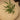 PAULOWNIA Satsuki Thick Comfortable Meditation Cushion from PAULOWNIA