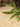 PAULOWNIA Satsuki Thick Comfortable Meditation Cushion from PAULOWNIA