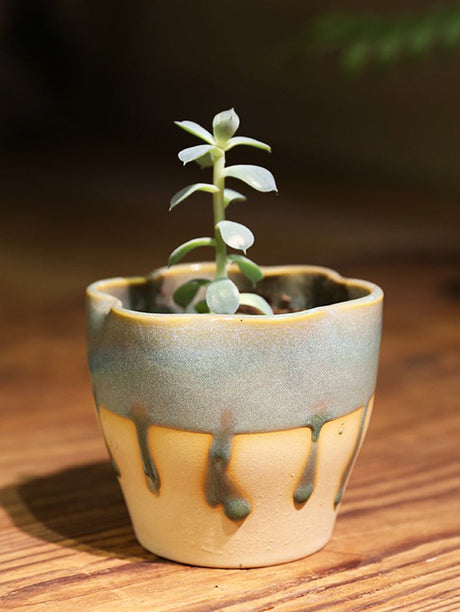 PAULOWNIA Yuna Unique Stone-Look Small Flowerpot from PAULOWNIA