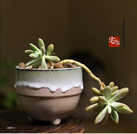 PAULOWNIA Yuna Unique Stone-Look Small Flowerpot from PAULOWNIA