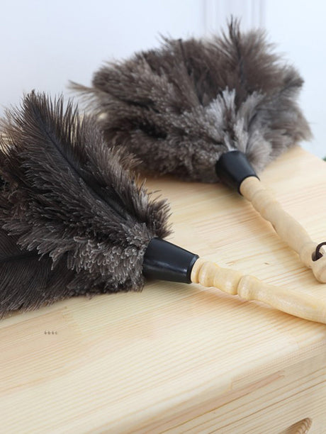 PAULOWNIA Zambezi Eco-Friendly Ostrich Brush Cleansing Tool from PAULOWNIA