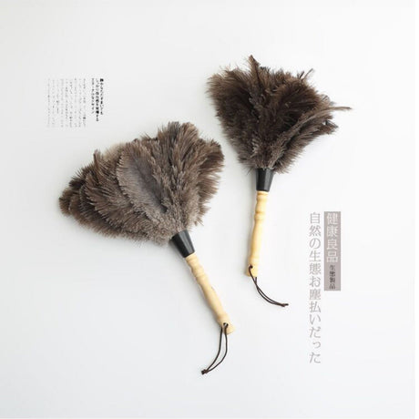 PAULOWNIA Zambezi Eco-Friendly Ostrich Brush Cleansing Tool from PAULOWNIA