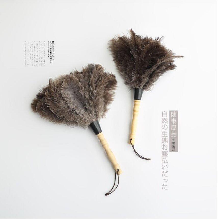 PAULOWNIA Zambezi Eco-Friendly Ostrich Brush Cleansing Tool from PAULOWNIA