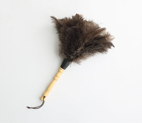 PAULOWNIA Zambezi Eco-Friendly Ostrich Brush Cleansing Tool from PAULOWNIA