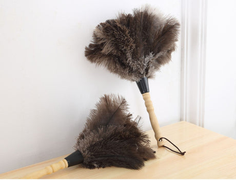 PAULOWNIA Zambezi Eco-Friendly Ostrich Brush Cleansing Tool from PAULOWNIA