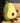 PEANUTS Elowen Premium Soft Luxury Floor Cushion from PEANUTS
