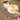 PEANUTS Hiroshi Premium Plush Sleep Cushion from PEANUTS