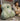 PEANUTS Valverde Ergonomic Summer Support Cushion from PEANUTS