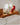 PINYI LIGHTING Harukaze Elegant Modern Table Lamp from PINYI LIGHTING