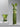 PINYI LIGHTING Mistral Elegant Minimalist Floor Lamp from PINYI LIGHTING