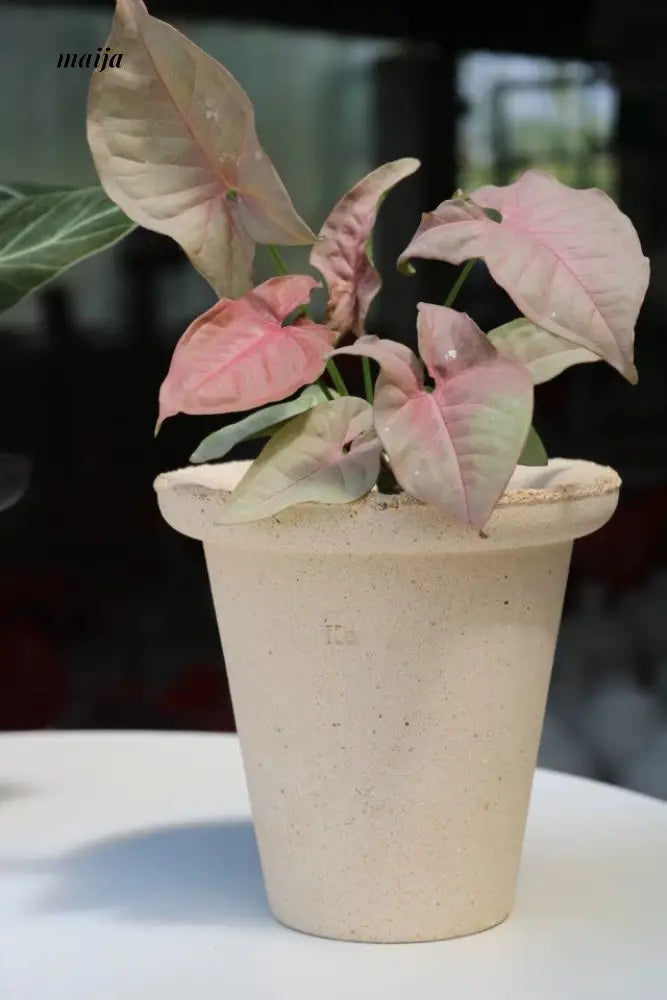 KERRY Handmade Simple Breathable Flower Pot
