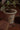 KERRY Handmade Domino Flower Pot from maija