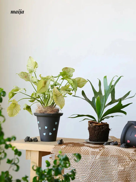 KERRY Handmade Tiny Hearts Flower Pot from maija