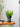 KERRY Handmade Domino Flower Pot from maija