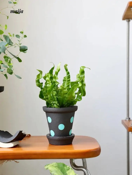 KERRY Handmade Domino Flower Pot from maija