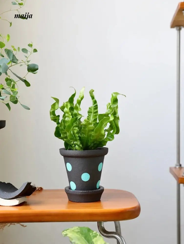 KERRY Handmade Domino Flower Pot from maija