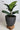 KERRY Handmade Black Hole Flower Pot from maija