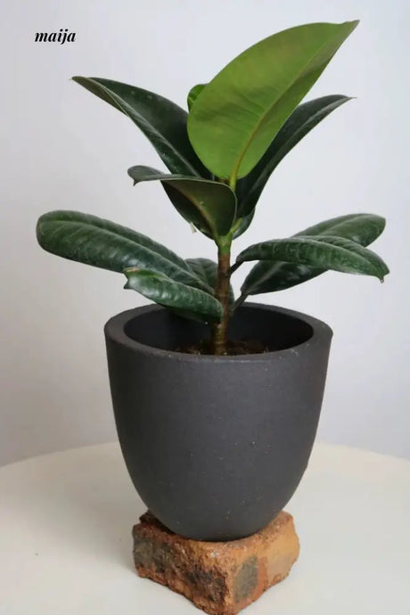 KERRY Handmade Black Hole Flower Pot from maija