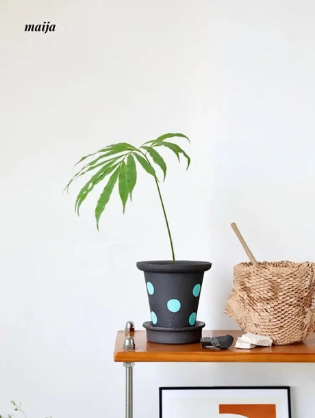 KERRY Handmade Domino Flower Pot from maija