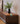Ambrose Solid Wood TV Cabinet from maija
