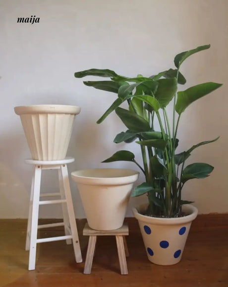 KERRY Handmade Polka Dot Planter from maija