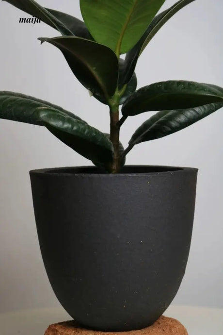 KERRY Handmade Black Hole Flower Pot from maija