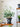 KERRY Handmade Domino Flower Pot from maija