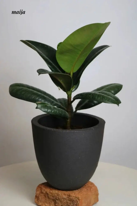 KERRY Handmade Black Hole Flower Pot from maija