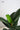 KERRY Handmade Black Hole Flower Pot from maija
