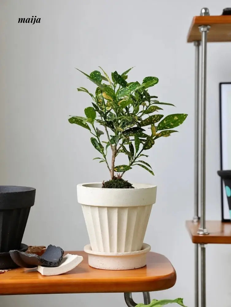 KERRY Handmade Roman Column Flower Pot