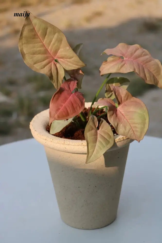 KERRY Handmade Simple Breathable Flower Pot